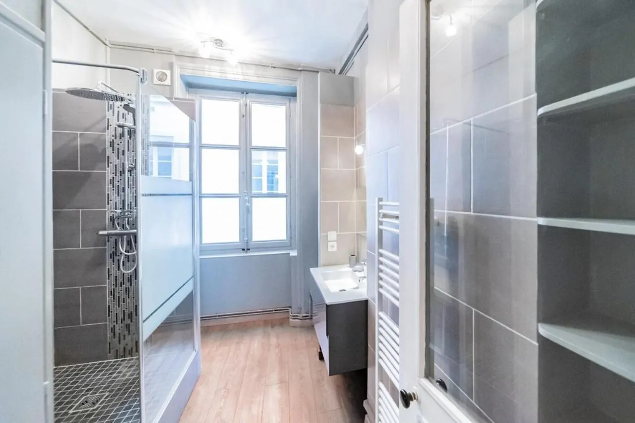 Appartement Le Ferrandiere -Beau 2 Pieces-Cordeliers-Bellecour Lyon France