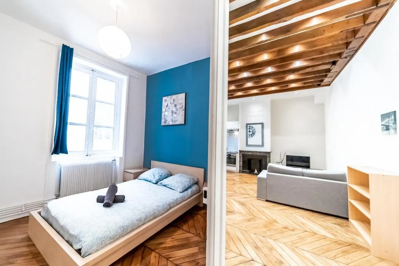 Le Ferrandiere -Beau 2 Pieces-Cordeliers-Bellecour Lyon Appartement
