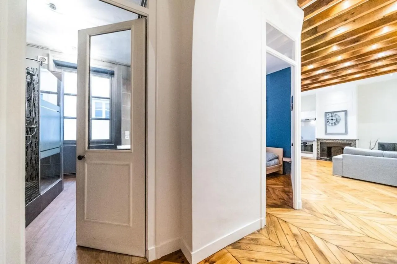 Le Ferrandiere -Beau 2 Pieces-Cordeliers-Bellecour Lyon Appartement